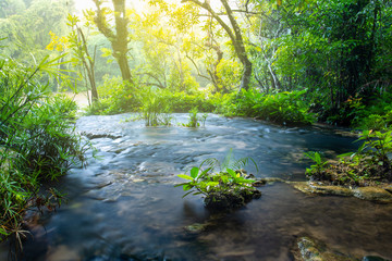 Obraz premium Beautiful small waterfall in the deep forest in Thailand.