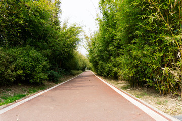 fitness way through woods