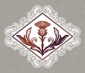 Thistle flower -the Symbol Of Scotland.