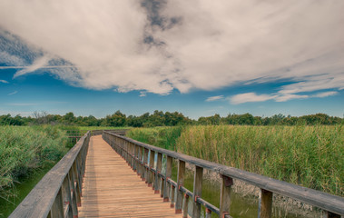Obraz premium Pasarela de madera en la naturaleza. Paque Nacional de las Tablas de Daimiel. Ciudad Real. España.