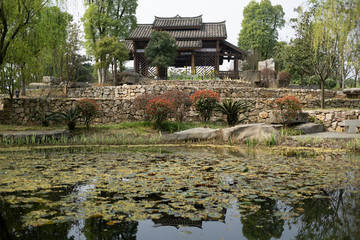 Fototapeta na wymiar Chinese garden with pond and gazebo