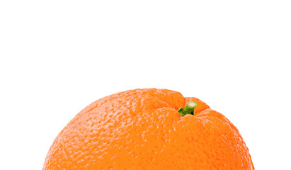 Orange Fruit. Fresh and Yummy.