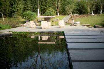 Fototapeta premium pond and garden