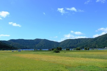 滋賀県の余呉湖と山を望む田園風景です
