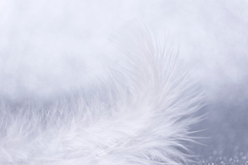 White feather on a shiny silver background. Close-up