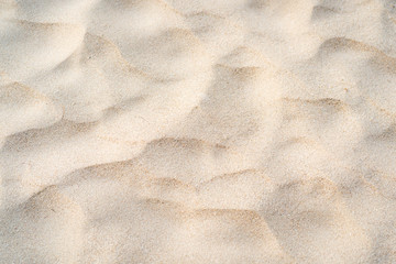 Sand texture background, natural sand at the beach close up.