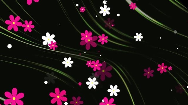 Flowers with Background Loop