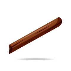 Cinnamon stick vector isolated illustration