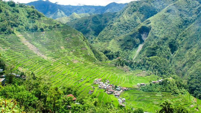 Panorama Picture of the Rice Terraces in Banaue, Ifugao province, Philippines