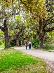 Fototapeta premium Father and daughter are enjoying the scenes of southern plantation