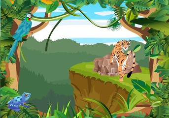Tiger in the jungle, jungle wildlife scene