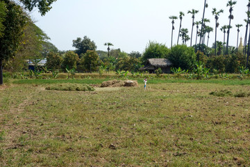 ミャンマー　インワ　風景