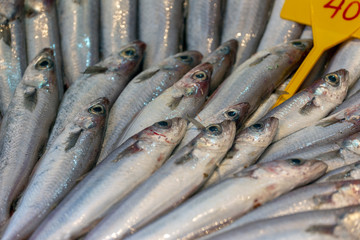 Fish anchovy background on ice in fishermen market store shop. Seafood european pile of anchovy pattern on ice. Black sea anchovies are placed in family Engraulidae. Heap of small little fish for sale