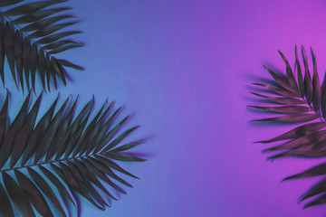 Tropical and palm leaves in vibrant bold gradient holographic neon colors , background.
