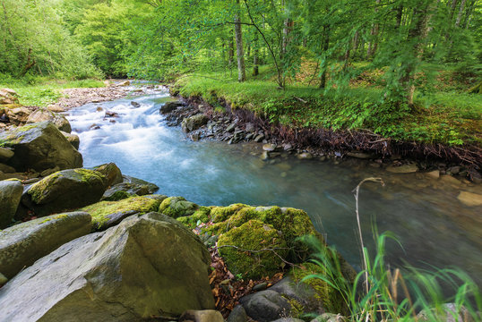 forest stream with rocky shore in summer. beautiful nature scenery. moss on the boulders. long exposure in day time