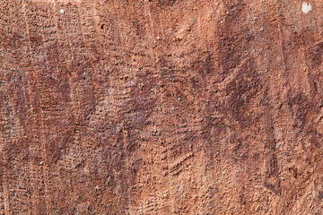 Texture bois bruyère Stiennon Jacques