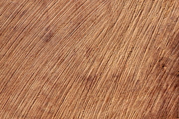 Texture bois bruyère Stiennon Jacques