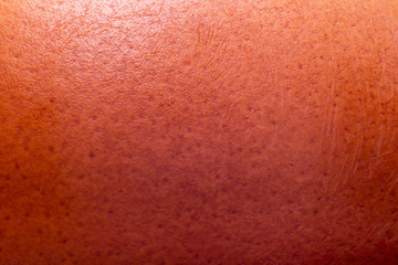 Chicken egg extreme macro background