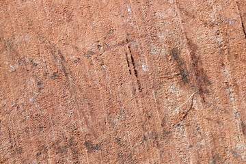 Texture bois bruyère Stiennon Jacques