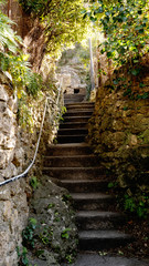 camino con escaleras con vegetacion exuberante