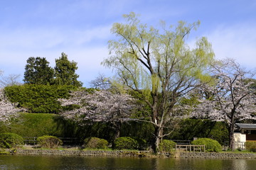 公園