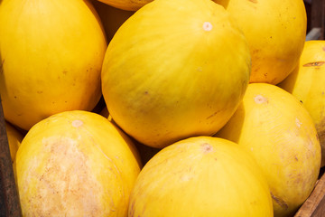 Yellow melons for sale