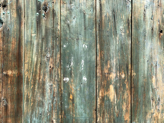 old wood painted background. Toned. Green, yellow, grey wood