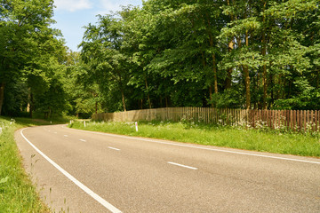 Fototapeta na wymiar Leere Straße mit Kurve durch grüne Landschaft