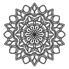 mandala flower illustration vector