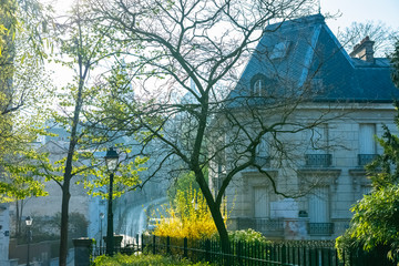 Montmartre, a very romantic parisian street with a vintage lamppost, sunrise, the Sacre-Coeur...