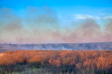 burning dry vegetation on the field