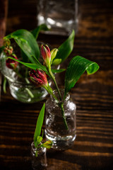 Red alstroemeria flowers in glass vases on dark background. Mothers day, birthday greeting card. Copy space.