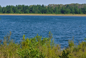 Lake with blue water and trees at background