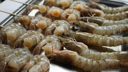 shrimp