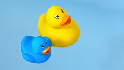 yellow and blue rubber bath ducks in water