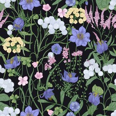 Naklejki  Elegancki wzór z kwitnących dzikich kwiatów na czarnym tle. Tło z kwitnących wieloletnich roślin zielnych i polnych kwiatów łąkowych. Ilustracja wektorowa botaniczny w stylu antycznym.