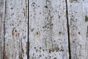 texture of old wall