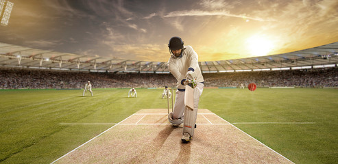 Young sportsman batting in the cricket field 	