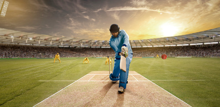 Young sportsman batting in the cricket field 	