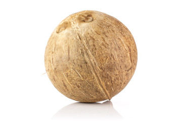One whole young fresh bio coconut isolated on white background