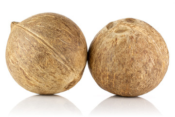 Group of two whole young fresh bio coconut isolated on white background