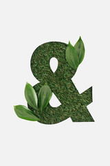 top view of cut out Ampersand sign on green grass background with leaves isolated on white