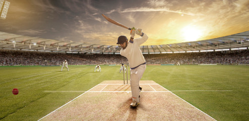 Young sportsman strikes the ball while batting in the cricket field	