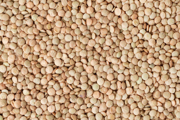Dried green lentil background