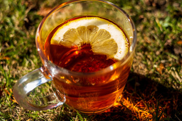 Glass of healthy tea with a lemon slice isolated outdoors with grass