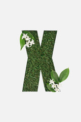 top view of cut out X letter on green grass background with flowers isolated on white