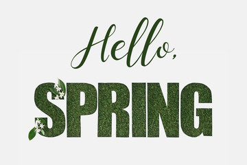 top view of hello spring lettering with green leaves and flowers isolated on white