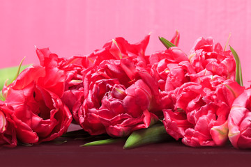 Boquet of red and pink tulips. Floral pink background with space for text