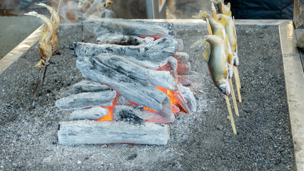 Grilled iwana or yamame fish