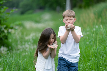Fototapeta premium A boy with a girl playing in a field with dandelions.